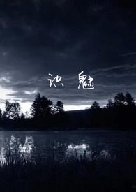 识魅民俗怪谈 作者灰鸢尾